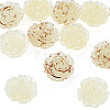 12Pcs 2 Colors Transaprent Resin Enamel Cabochons CRES-TA0001-91-2