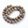 Natural Silver Leaf Jasper Beads Strands X-G-F520-45-8mm-2