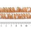 Natural Trochus Shell Beads Strands SHEL-P017-07-4