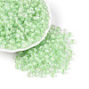 FGB Inside Colours Transparent Glass Seed Beads SEED-T009-01B-3