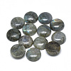 Natural Labradorite Cabochons X-G-T073-18-10mm-1
