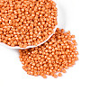 Baking Paint Pearlized Glass Seed Beads SEED-T007-21A-05-3