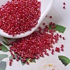 MIYUKI Delica Beads SEED-JP0008-DB0162-1