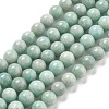 Natural Amazonite Beads Strands G-L618-A01-8mm-2