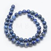 Natural Lapis Lazuli Beads Strands G-E489-01-10mm-2
