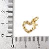 Brass Micro Pave Cubic Zirconia Charms LS-KK-H077-02G-01-3