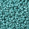 TOHO Round Seed Beads X-SEED-TR08-0413F-1