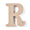 Letter Unfinished Wood Slices DIY-WH0162-62R-1