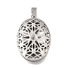 316 Stainless Steel Locket Pendants STAS-C123-01A-P-1