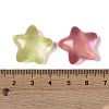 Luminous Resin Decoden Cabochons RESI-K036-13-5