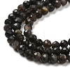 Natural Silver Sheen Obsidian Beads Strands G-E608-A02-C-3