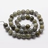 Natural Labradorite Bead Strands G-O155-05B-4mm-2
