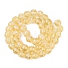 Handmade Lampwork Beads Strands LAMP-N037-07K-2