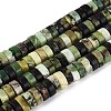 Natural Serpentine Beads Strands G-N367-03A-11-2