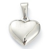 304 Stainless Steel Pendants STAS-P278-01X-P-2