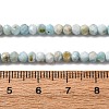 Natural Larimar Beads Strands G-F803-B01-02-5