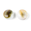 Natural Shiva Eye Shell Beads BSHE-T014-33A-3