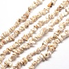 Magnesite Chip Bead Strands G-M205-75-1