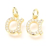 Brass Micro Pave Cubic Zirconia Charms ZIRC-O037-17G-1