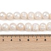 Natural Cultured Freshwater Pearl Beads Strands PEAR-I007-07Z-06C-5