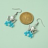 Glass Dangle Earrings EJEW-MZ00319-01-2