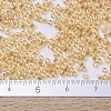 MIYUKI Delica Beads SEED-J020-DB0099-4