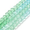Transparent Painted Glass Beads Strands LS-DGLA-A034-T6mm-A16-2