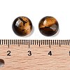 Natural Tiger Eye Cabochons G-G788-C-14-3