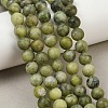 Natural Taiwan Jade Beads Strands X-GSR032-5