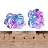 Baking Paint Glass Beads X-GLAA-S202-13A-3