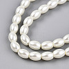Baking Paint Pearlized Glass Pearl Bead Strands HY-T002-01B-02-2