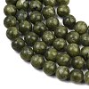 Olive Z0NCT015-6