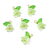 Acrylic Pendants LS-OACR-D012-01E-2