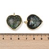 Natural African Turquoise(Jasper) Pendants G-K347-10G-04-3