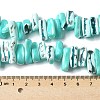 Dyed Natural Trochus Shell Beads Strands SSHEL-C013-09M-4
