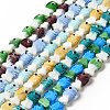 Handmade Lampwork Beads Strands LAMP-G154-07-1