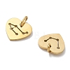 304 Stainless Steel Charms SA-CBAE491-02G-2