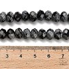 Natural Snowflake Obsidian Beads Strands G-Z111-A21-6