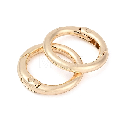 Alloy Spring Gate Clasps X-FIND-H012-05KCG-1