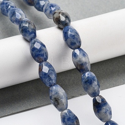 Natural Blue Spot Jasper Beads Strands G-P520-C05-01-1