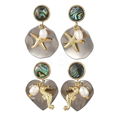 2 Pairs Paua Shell with Non-Tarnish 201 Stainless Steel Stud Earrings EJEW-JE07477-1
