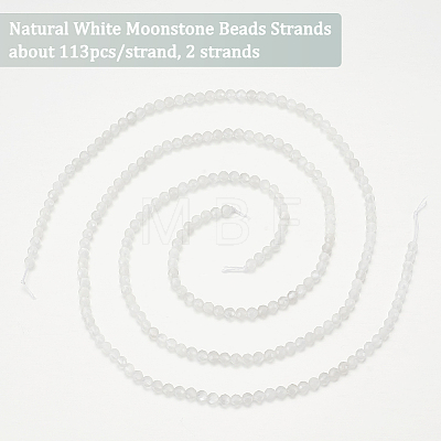 Olycraft 2 Strands Natural White Moonstone Beads Strands G-OC0004-42-1