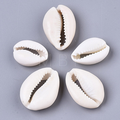 Natural Cowrie Shell Beads X-SSHEL-N034-34-1