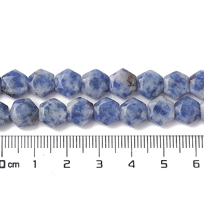 Natural Blue Spot Jasper Beads Strands G-K359-C17-01-1