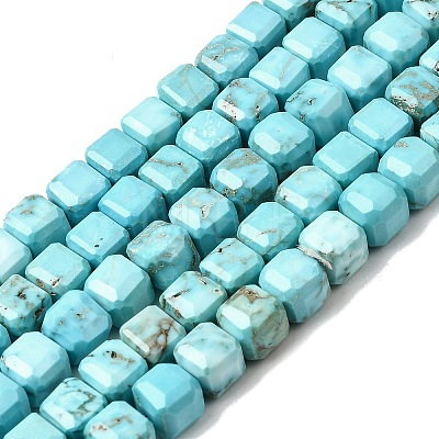 Natural Howlite Bead Strands G-H345-C01-01-1