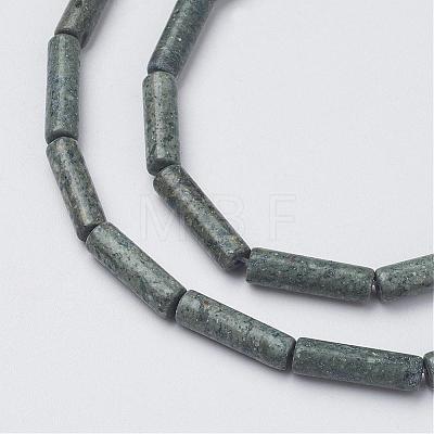 Natural Serpentine/Green Lace Stone Beads Strands G-G968-F12-1