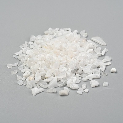 Natural White Moonstone Chip Beads X-G-L453-10A-1