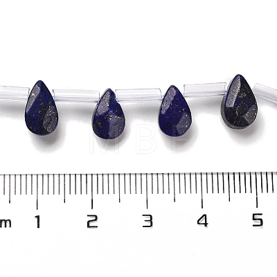 Natural Lapis Lazuli Beads Strands G-Q167-A25-02-1