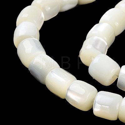 Natural Trochus Shell Beads Strands BSHE-E030-05B-1