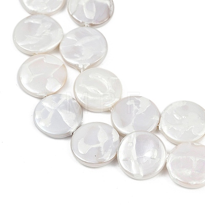 Electroplate Porcelain Imitation Pearl Beads Strands BSHE-Z009-02A-1